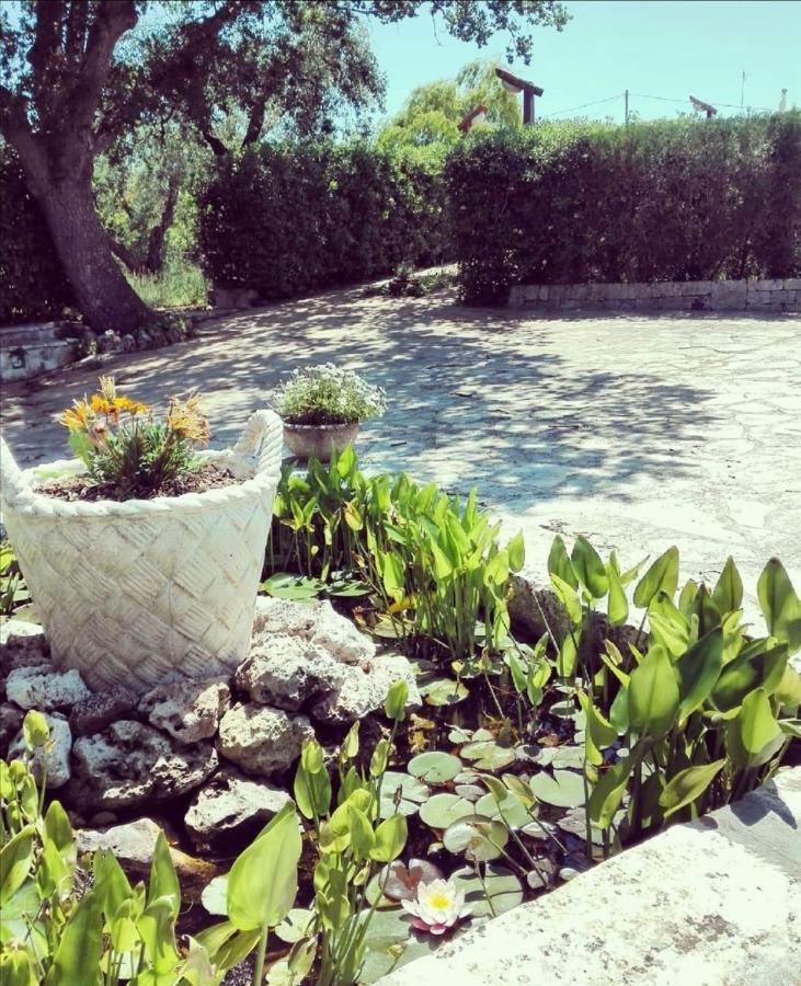 Trulli Francesca Ciclovia Villa Locorotondo Eksteriør bilde