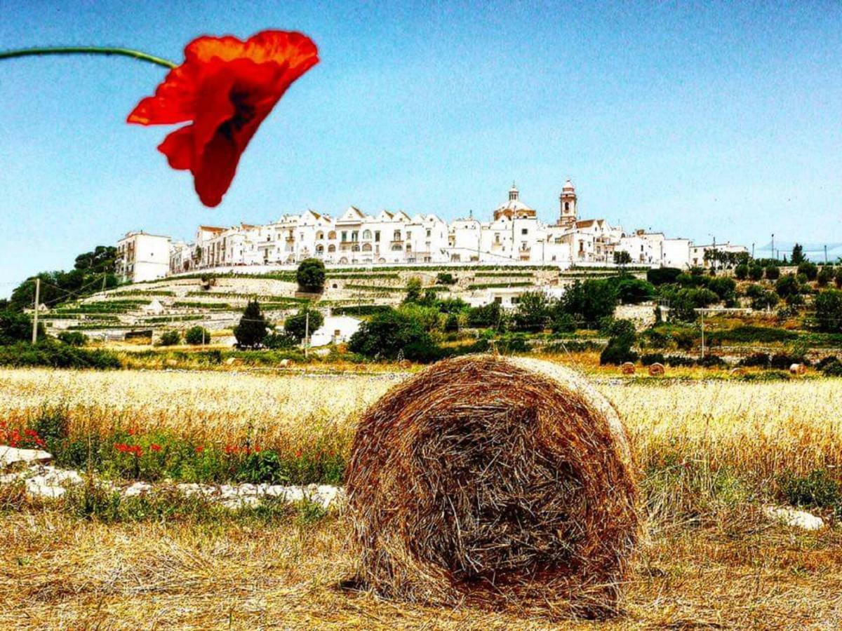 Trulli Francesca Ciclovia Villa Locorotondo Eksteriør bilde