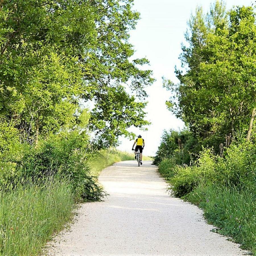 Trulli Francesca Ciclovia Villa Locorotondo Eksteriør bilde